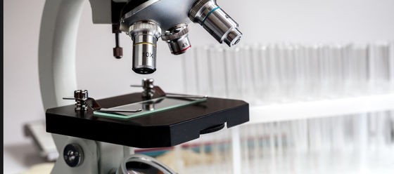 組織/細胞診スライド用耐薬品性生ガラスパネル 1300*1100mm レギュラーサイズ 4PB 9-12um